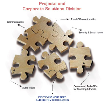 Projects and Corporate Solutions Division